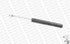Front Shock Absorber Nissan Skyline CA20 (4 Cylinder) RB20E, RB30E (6 Cylinder) 1997- GT0114