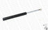 Front Shock Absorber Nissan Skyline CA20 (4 Cylinder) RB20E, RB30E (6 Cylinder) 1997- GT0114