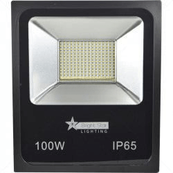 GUNMANSA 100 Watt LED Floodlight