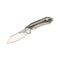 GUNMANSA BESTECH BT1909A Kasta Titanium Grey Handle Knife