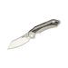 GUNMANSA BESTECH BT1909A Kasta Titanium Grey Handle Knife