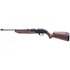 GUNMANSA CROSMAN 760B RIFLE 760 PUMPMASTER BROWN
