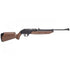 GUNMANSA CROSMAN 760B RIFLE 760 PUMPMASTER BROWN