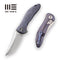 GUNMANSA Discontinued WEKNIFE Synergy2 Flipper Knife Titanium Handle (3.49" M390 Blade) 912D