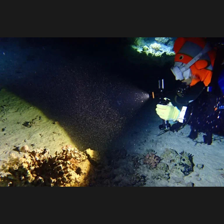 GUNMANSA FENIX SD11 DIVING FLASHLIGHT