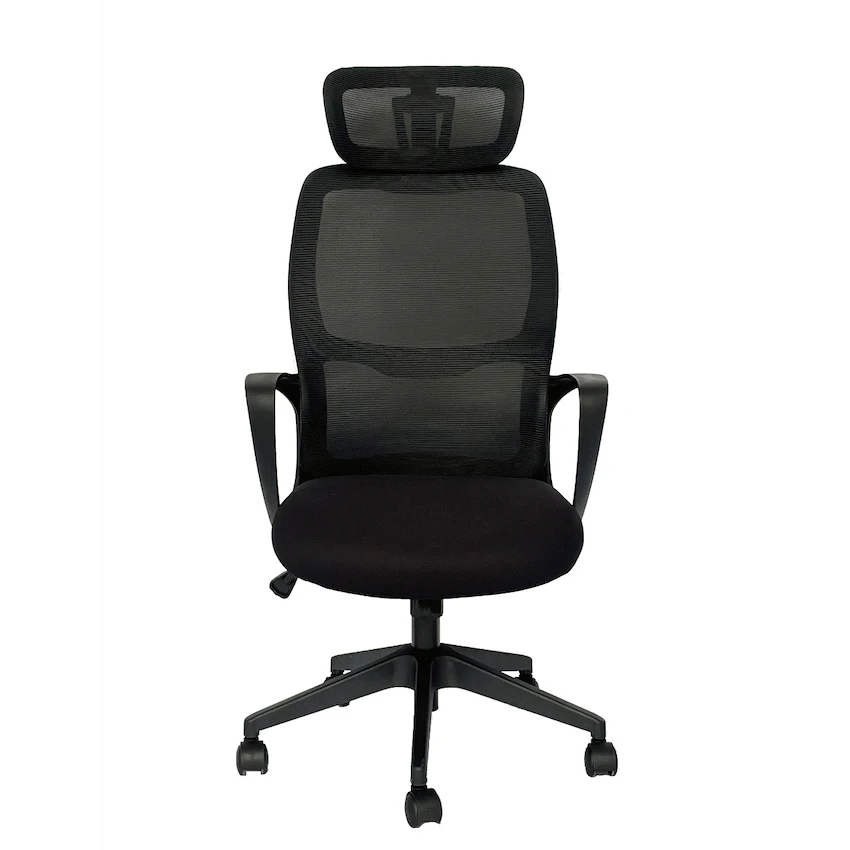 GUNMANSA Furniture Everfurn Craft High Back Office Chair