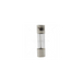 GUNMANSA Fuse - 10Amp 5 x 20mm