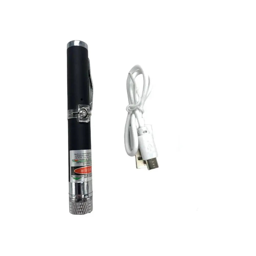 GUNMANSA GREEN LASER POINTER BLUE BOX – 4197