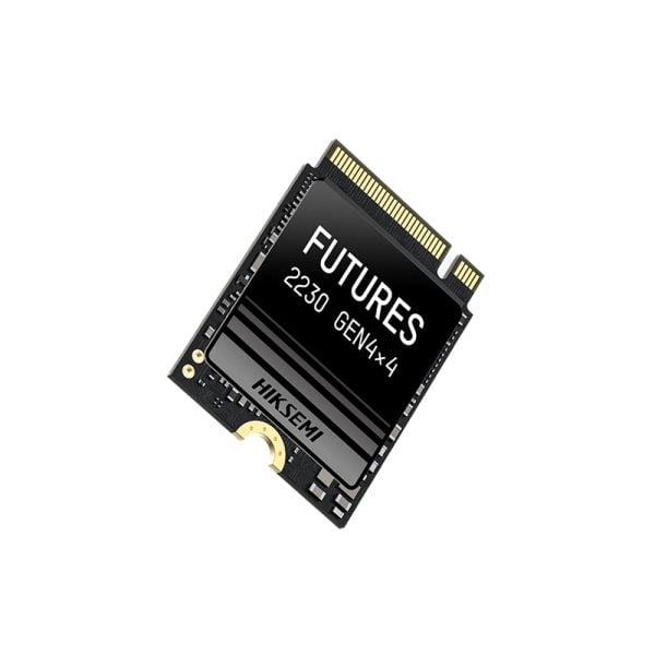 GUNMANSA HIKSEMI Future S 1TB M.2 NVME 2230 Solid State Drive