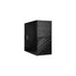 GUNMANSA IN WIN EFS052.CH450TB3 MicroATX 12V Form Factor, PSII Size Power Supply  Mini Tower Computer Case (Black)
