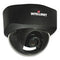 GUNMANSA Intellinet NFD30 Network Dome Camera