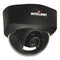 GUNMANSA Intellinet NFD30 Network Dome Camera MPEG4 + Motion