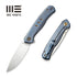 GUNMANSA Knife WEKNIFE Seer Flipper Knife Titanium Handle (3.48" CPM 20CV Blade) WE20015-2