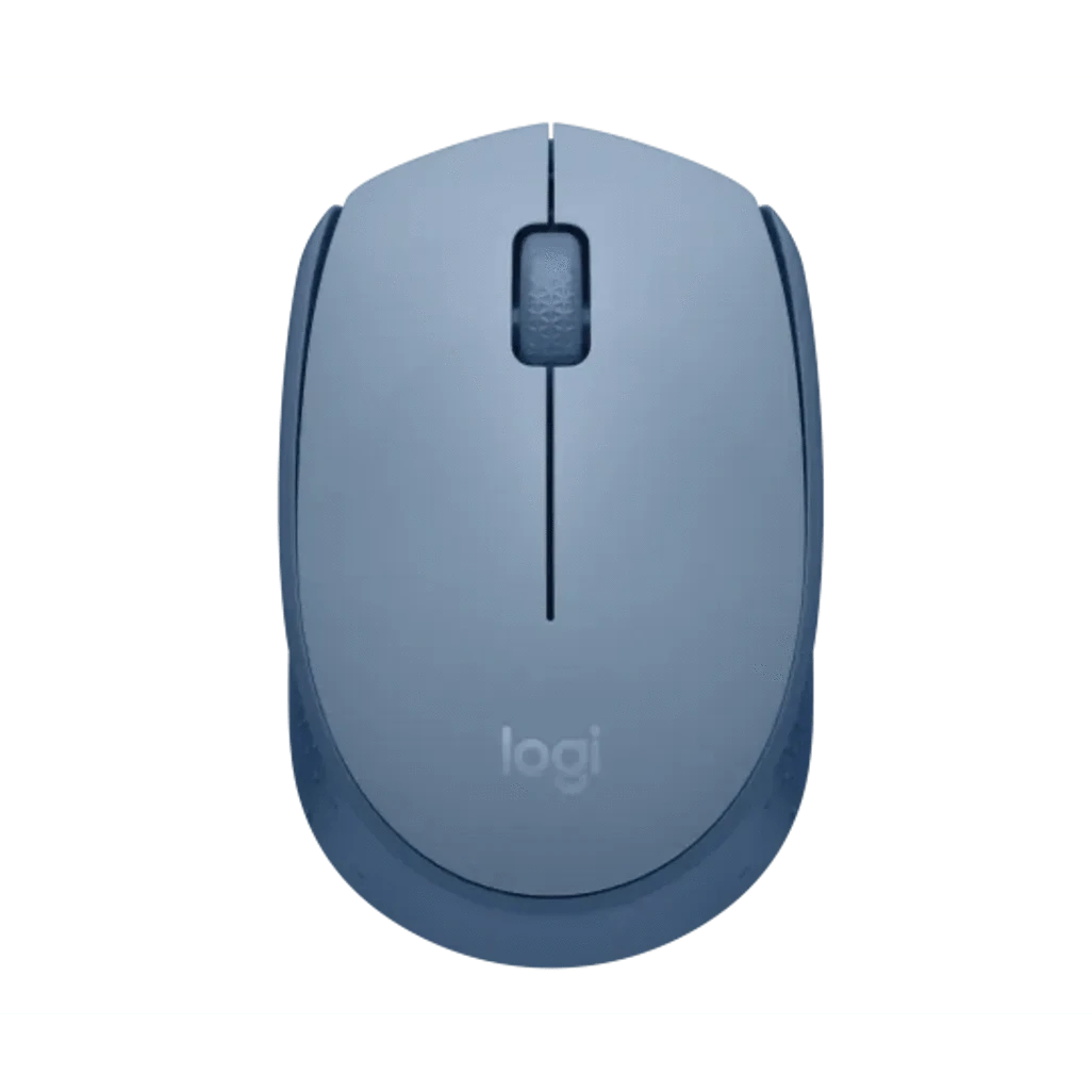 GUNMANSA Logitech M171, Ambidextrous, Optical, RF Wireless, Blue