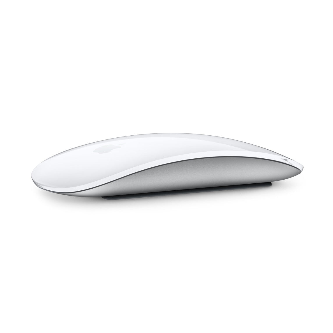 GUNMANSA MAGIC MOUSE