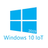 GUNMANSA Microsoft Embedded Win10 IoT Enterprise LTSC 2019 Individual Key Value - CPU Restrictions Apply - for i3 and i5 CPU