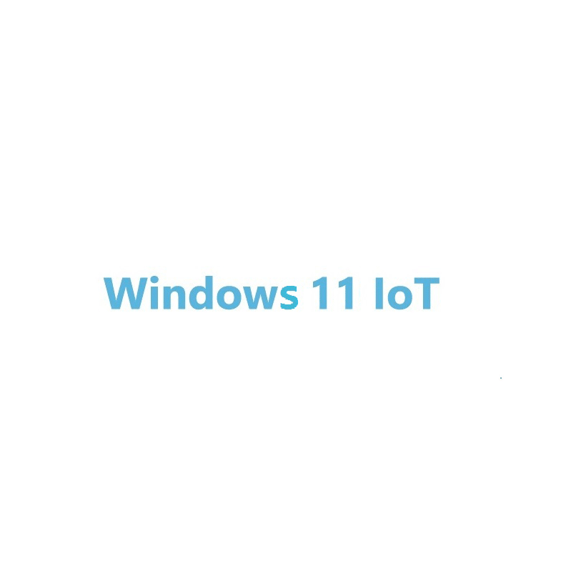 GUNMANSA Microsoft Windows 11 IoT Enterprise 2024 LTSC; one key per COA (PKEA); Entry