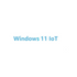 GUNMANSA Microsoft Windows 11 IoT Enterprise 2024 LTSC; one key per COA (PKEA); Entry