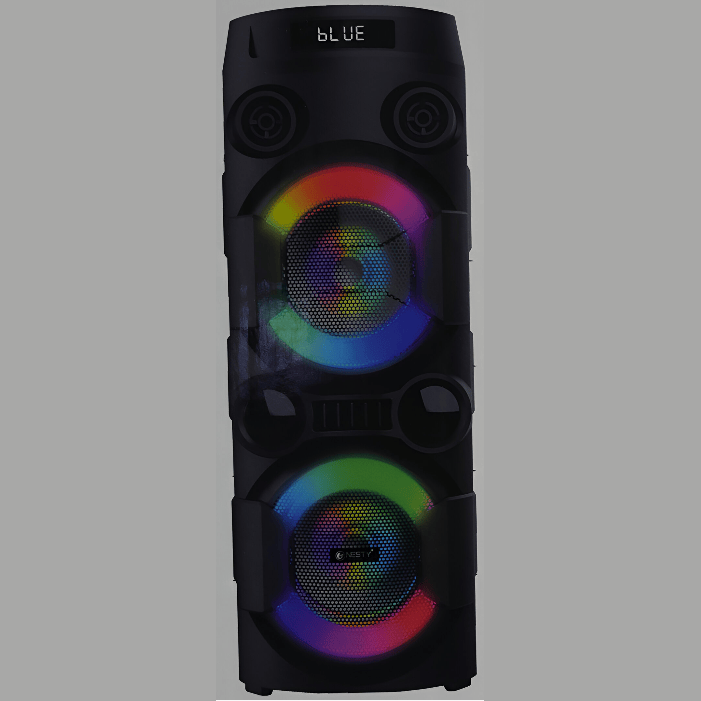 GUNMANSA Nesty FK216 Boom Portable Party Bluetooth Speaker System
