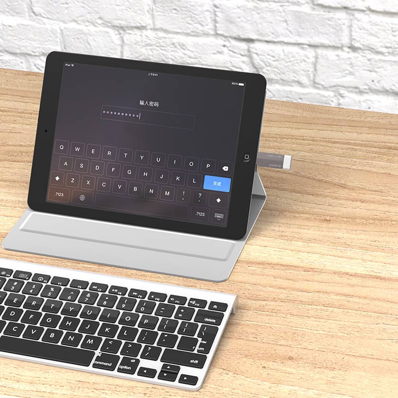 GUNMANSA ORICO USB Type-C to USB-A 3.1 ChargeSync On The Go Adapter - Silver