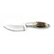 GUNMANSA PUMA IP FARKAS STAG HORN Knife 810097