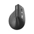 GUNMANSA RAPOO EV310 - Ergo  wireless optical mouse