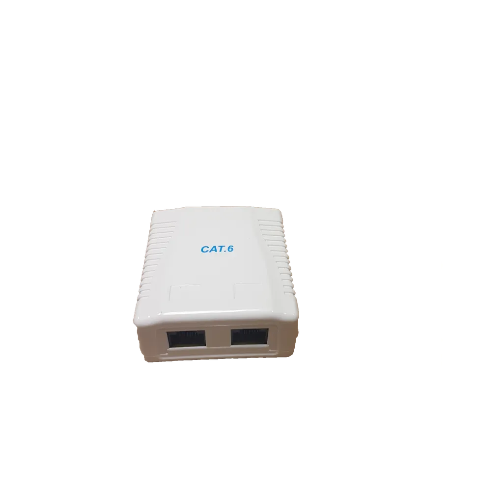 GUNMANSA RCT- CAT6 WALLBOX DUAL PORT