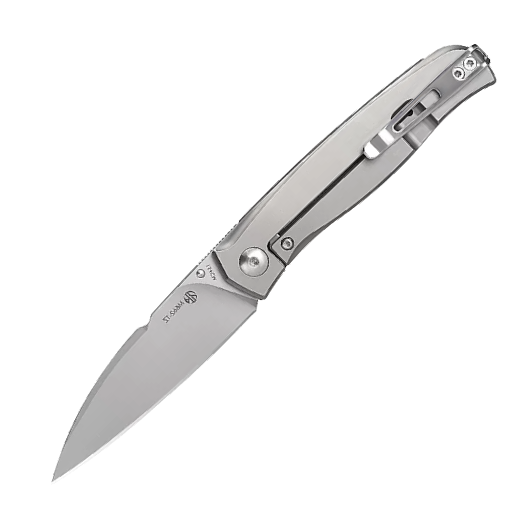GUNMANSA Ruike M662-TZ Folding Knife