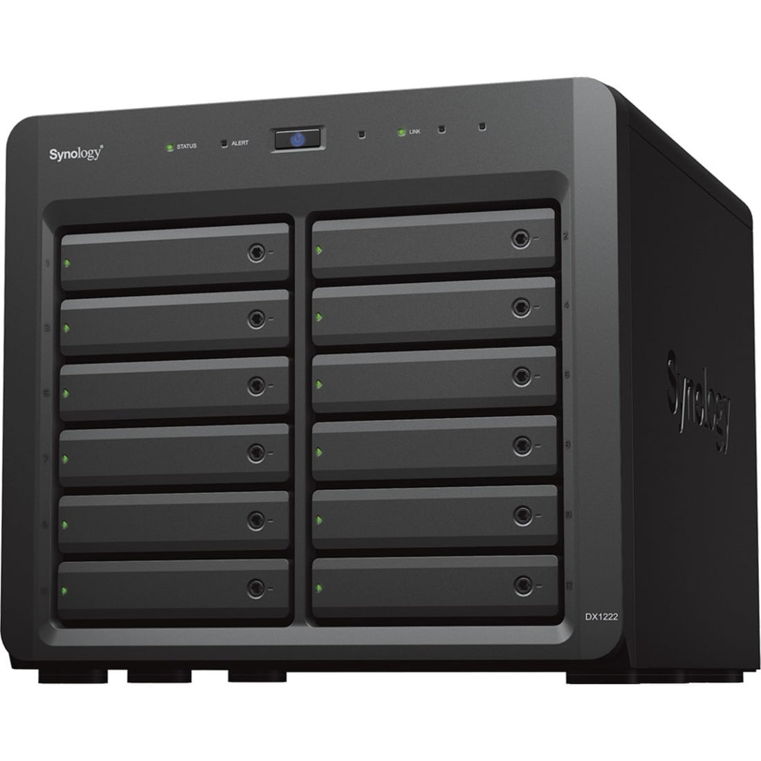 GUNMANSA Synology DX1222 Drive Enclosure Serial Attached SCSI (SAS), SATA - Mini-SAS HD Host Interface Desktop
