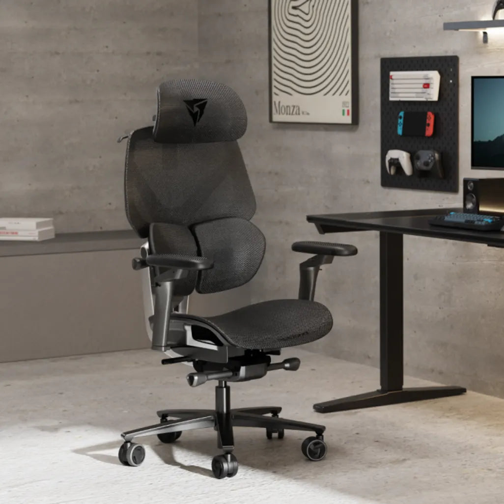 GUNMANSA Thunderx3 Flex Pro Ergonomic Chair - Mesh Black (TEGC-3076101.12).