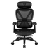 GUNMANSA Thunderx3 XTC PRO Ergonomic Chair - Mesh Black (TEGC-3091101.11).