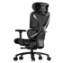 GUNMANSA Thunderx3 XTC PRO Ergonomic Chair - Mesh Black (TEGC-3091101.11).