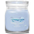 GUNMANSA Yankee Candle Signature Collection Ocean Air Medium Jar