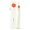 Kenzo Eau De Toilette Spray 3.4 oz Eau De Toilette Spray Kenzo Flower Eau De Toilette Spray By Kenzo