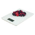 Kingston Avanti White Kitchen Scale - AV15826/24