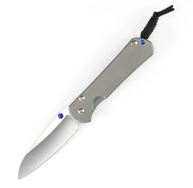 Chris Reeve Large Sebenza Insingo Glass Blasted Magnacut L31-1685