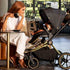 Maverick Yellow Gold with Black Stroller