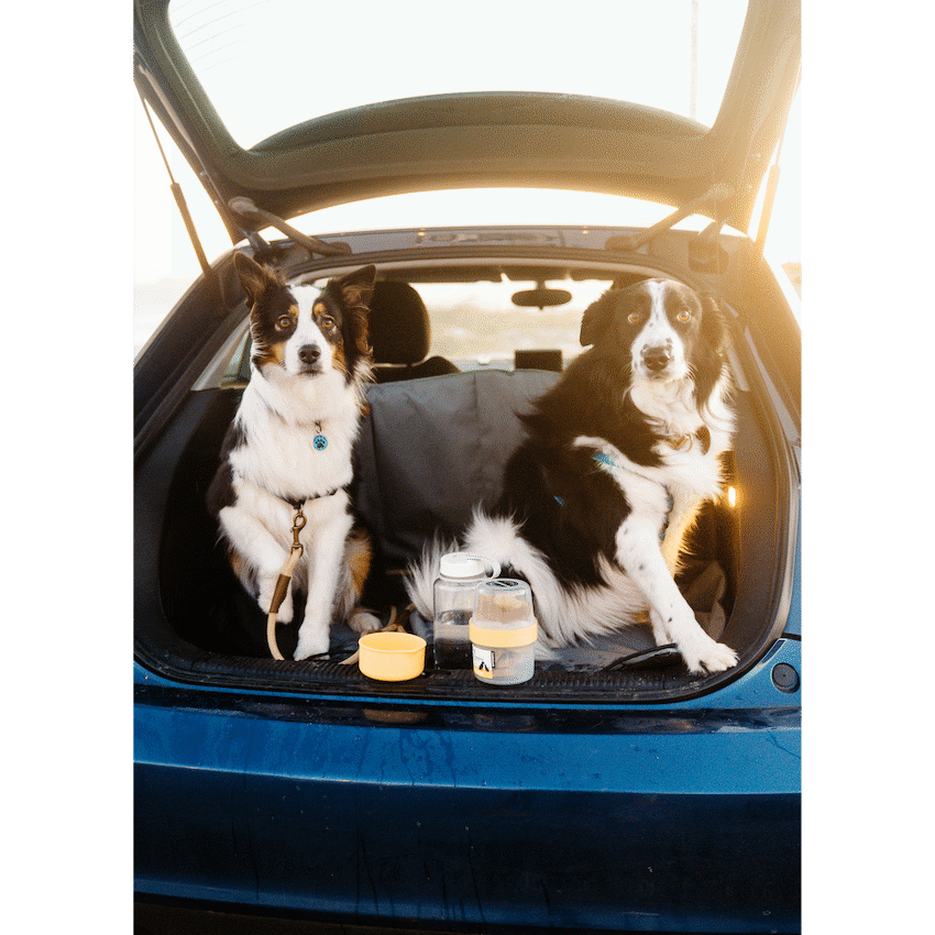 LocknLock LocknLock Pet food container 360+310ml ( Order in Qty of 6)