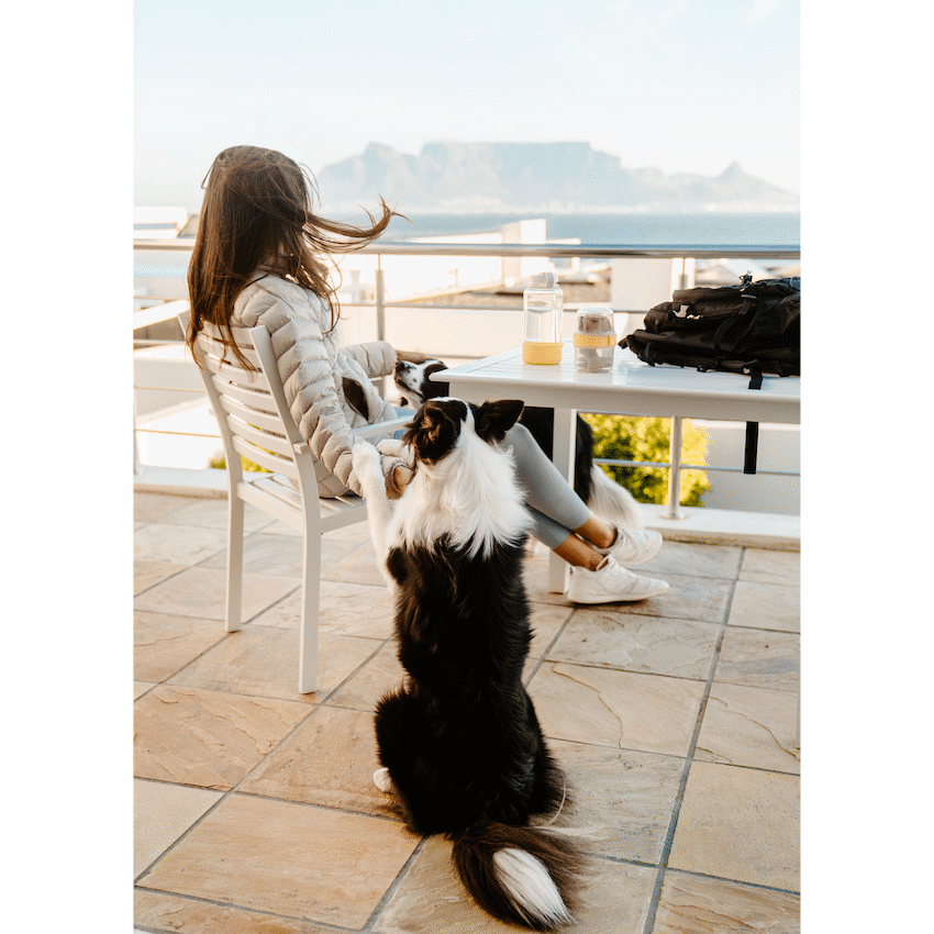 LocknLock LocknLock Pet food container 360+310ml ( Order in Qty of 6)