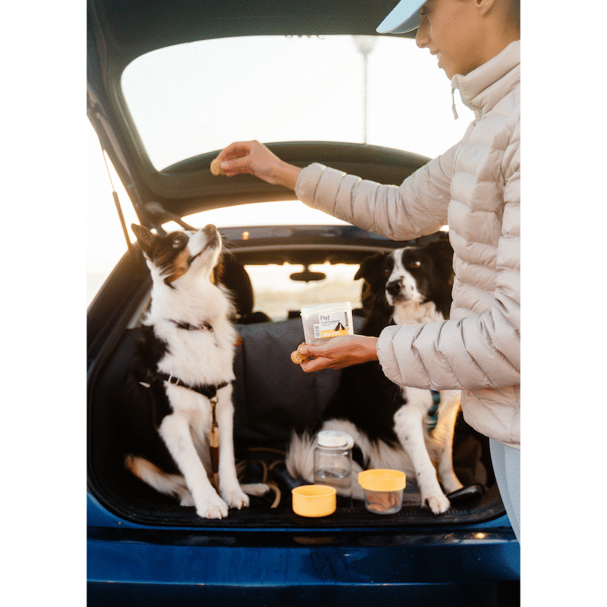 LocknLock LocknLock Pet food container 360+310ml ( Order in Qty of 6)