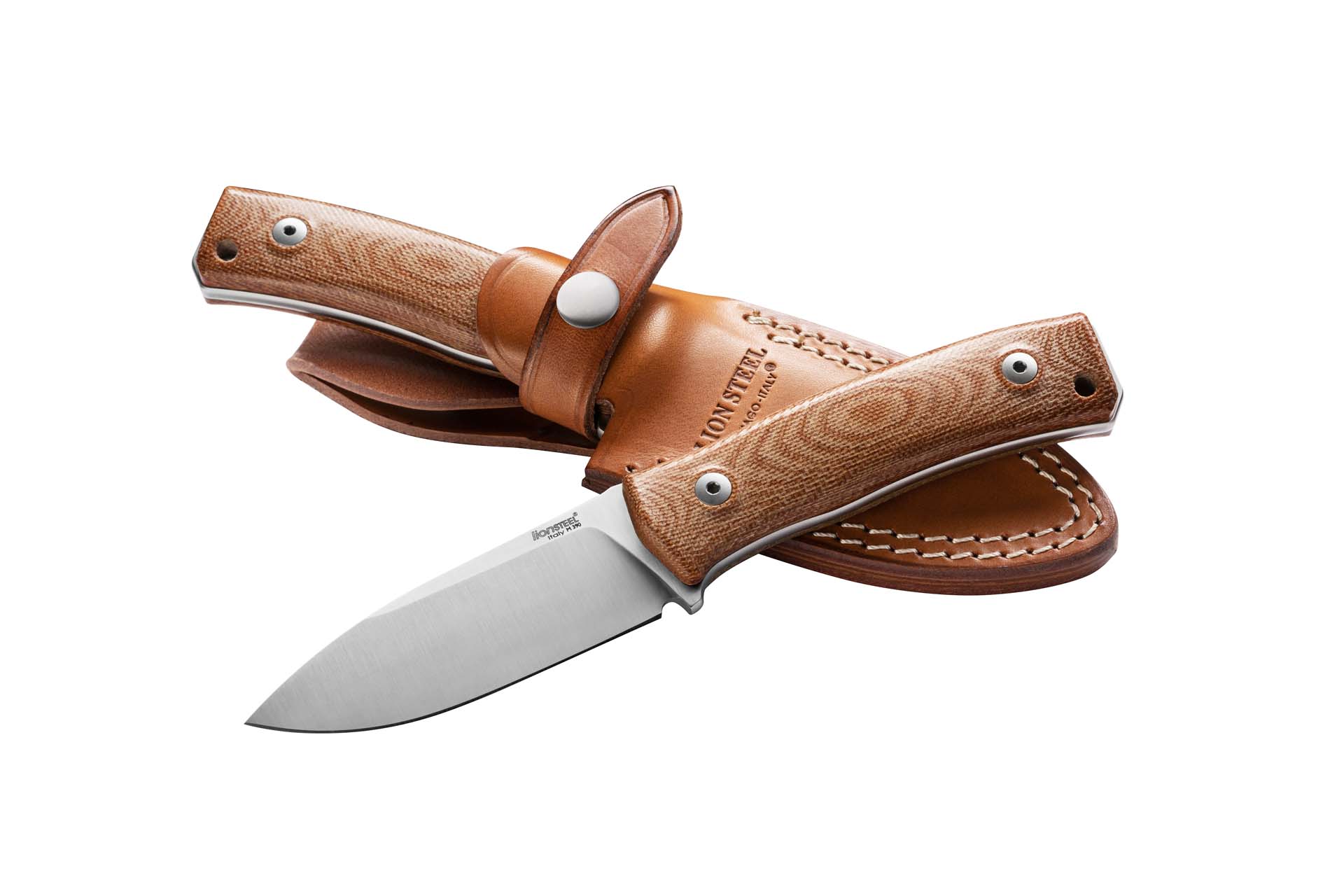 Lionsteel M4 CVN