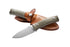 Lionsteel M4 CVG