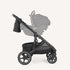Joie Elara™ Stroller