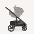 Joie Elara™ Stroller