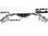 Ford Ranger Rapter Design Vinyl Tailgate Sticker (Non-Oem)