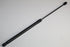 RENAULT RENAULT BOOT SHOCK SANDERO 1.6 L=R 09-22