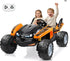 Shark Kids Quad Bike 24 Volt