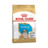 Royal Canin Breed Health Nutrition English Bulldog Puppy Dry Dog Food