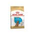 Royal Canin Breed Health Nutrition Poodle Puppy Dry Dog Food 3kg