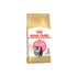 Royal Canin Feline Breed Nutrition Persian Kitten Dry Cat Food